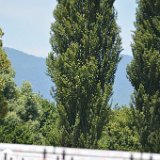 Campionati italiani allievi  - 2 - 2018 - Rieti (1634)
